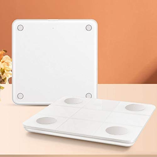 Digital Body Fat Scale with Backlit LCD