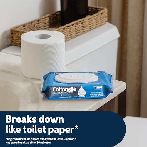 Flushable Adult Wet Wipes, 336 Count