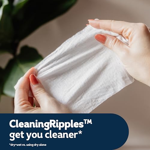Flushable Adult Wet Wipes, 336 Count
