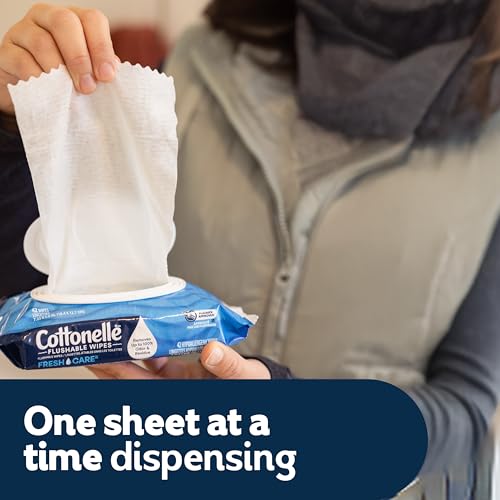 Flushable Adult Wet Wipes, 336 Count