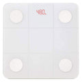 Digital Body Fat Scale with Backlit LCD