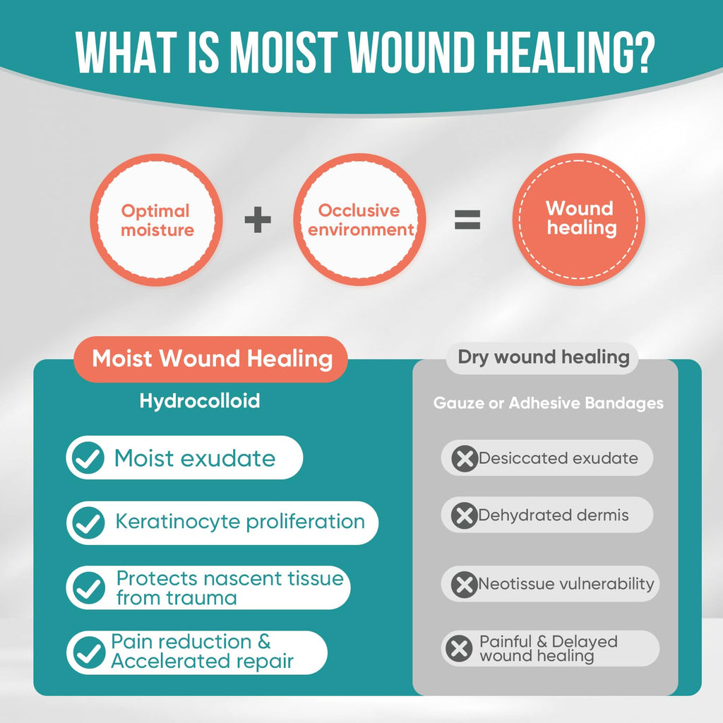 Hydrocolloid Roll for Wound Dressings