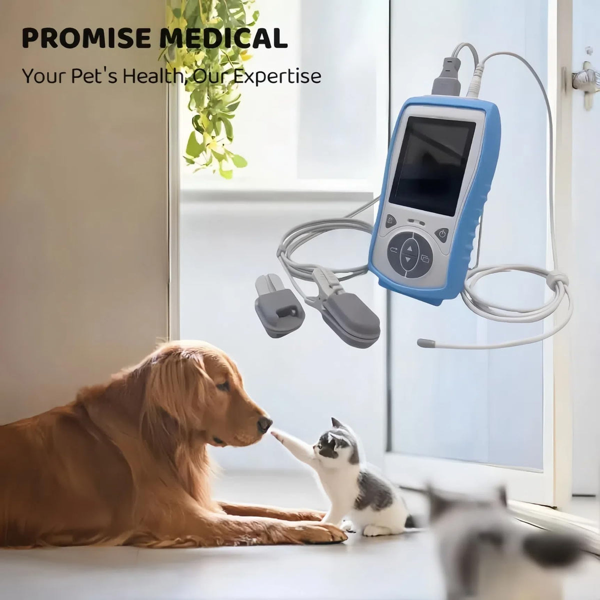 Veterinary Handheld Pulse Oximeter with Temperature Monitoring